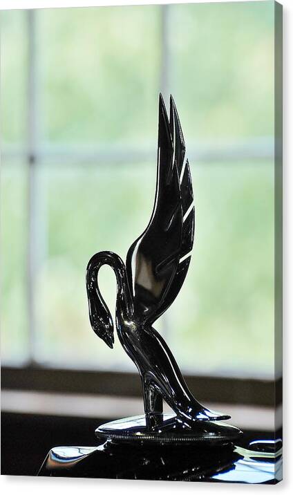 Swan Canvas Print featuring the photograph Hood ornament #4 by David Campione