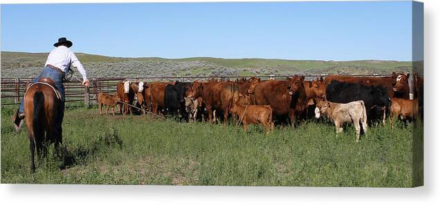 Wyoming 2014 Canvas Print featuring the photograph Long Loop #2 by Diane Bohna