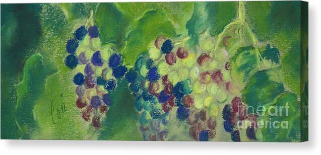 Grapes Canvas Print featuring the drawing Harvest Cluster by Cori Solomon