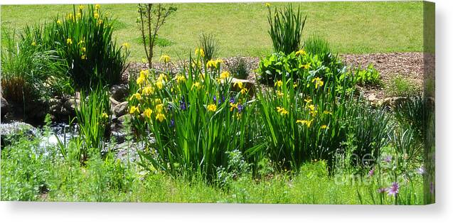 Nature Scene Canvas Print featuring the photograph Flowers Lining a Creek by Eva Thomas