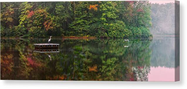 Babcock State Park Canvas Print featuring the photograph Great Herons by Mary Almond