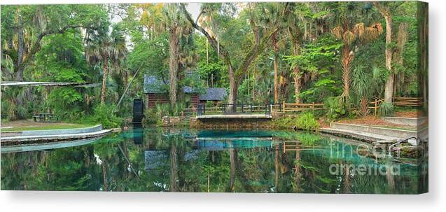 Juniper Springs Canvas Print featuring the photograph Juniper Springs Panorama by Adam Jewell