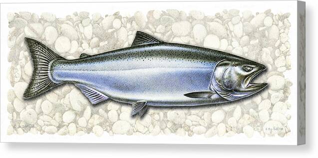 King Canvas Print featuring the painting King Salmon by JQ Licensing