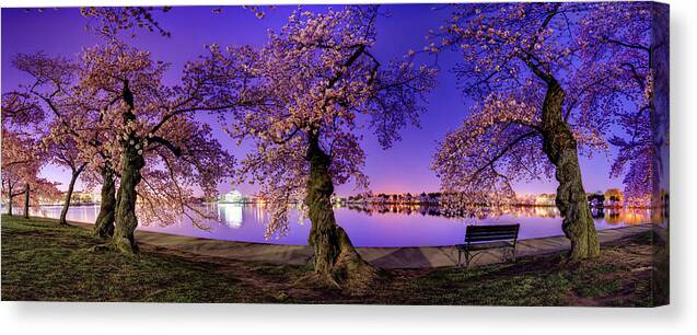 Dc Canvas Print featuring the photograph Night Blossoms 2014 by Metro DC Photography