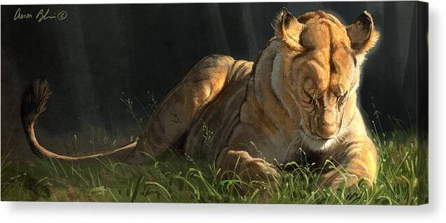 Lion Canvas Print featuring the digital art Siesta 2 by Aaron Blaise