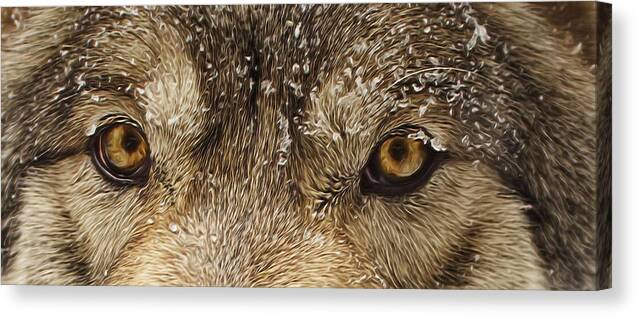 Animal Canvas Print featuring the photograph The Eyes of the Wolf by Brian Cross