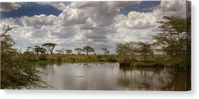 Hippo Canvas Print featuring the photograph Wild Pond by Joseph G Holland