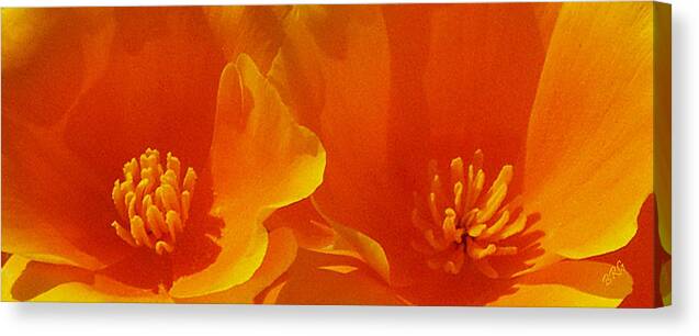 California Poppies Canvas Print featuring the photograph Wild Poppies by Ben and Raisa Gertsberg