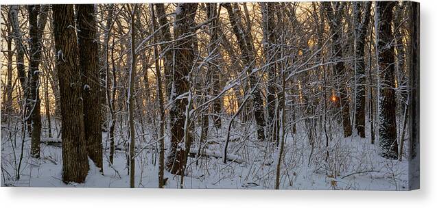 Winter Canvas Print featuring the photograph Winter Dawn by Bruce Morrison