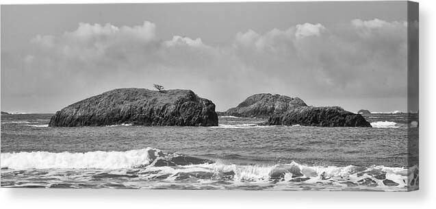 Tofino Canvas Print featuring the photograph Zen Rocks Black and White by Allan Van Gasbeck