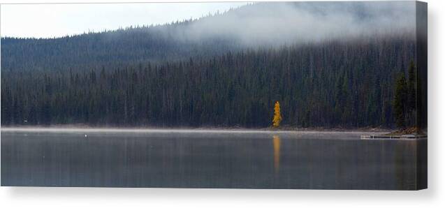 Elk Canvas Print featuring the photograph Elk Lake Oregon #3 by Twenty Two North Photography