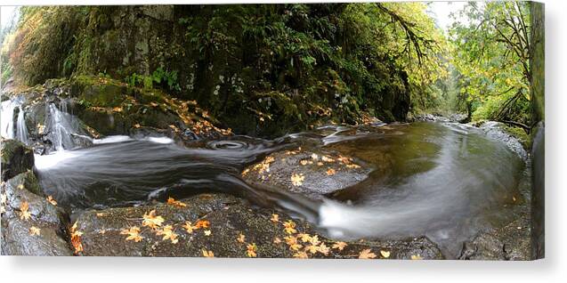 River Canvas Print featuring the photograph Autumn in the Forest by Margaret Pitcher