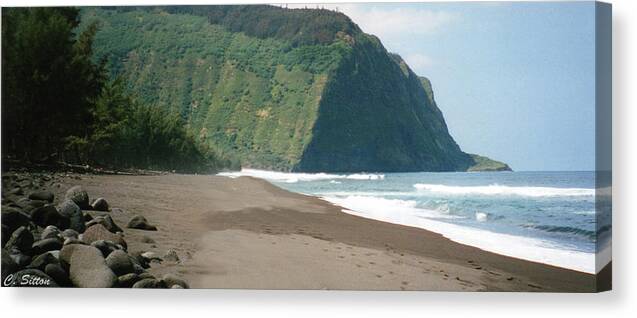 Hawaii Photographs Canvas Print featuring the photograph Hawaii Shore by C Sitton