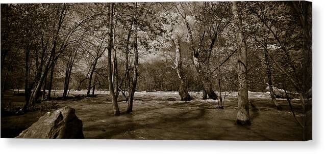 Forest Canvas Print featuring the photograph Potomac River #1 by Avril Christophe