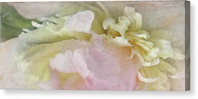 Peony Canvas Print featuring the photograph Abstract 42 by Karen Lynch