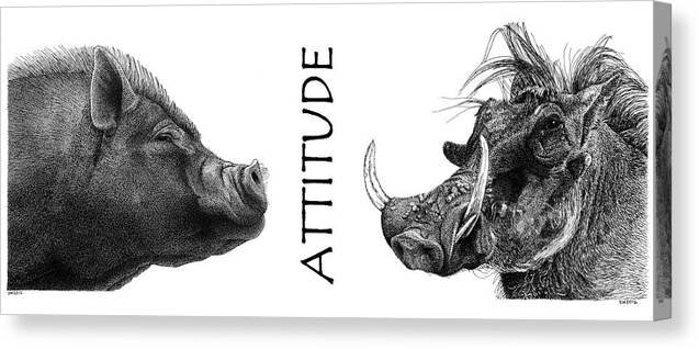 Warthog Canvas Print featuring the drawing Attitude by Scott Woyak