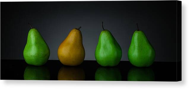 Studio Canvas Print featuring the photograph Be Different by Kelly Bryant