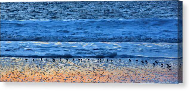 Birds Canvas Print featuring the photograph Birds in Parallel by Josephine Buschman