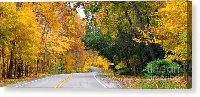 Fall Color Canvas Print featuring the photograph Fall Color Along Road 5643 by Jack Schultz