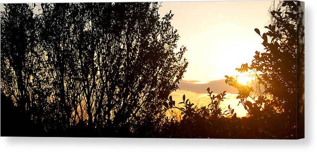 Sunset Canvas Print featuring the photograph Fan by HweeYen Ong