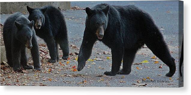 Bears Canvas Print featuring the photograph Guarding Her Cubs by DigiArt Diaries by Vicky B Fuller