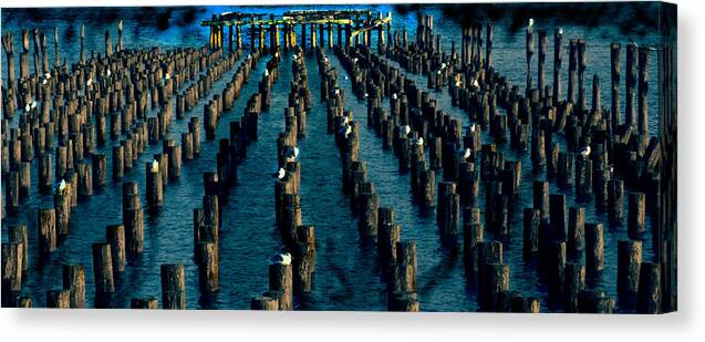 Gulls Canvas Print featuring the photograph Pantheon by Leon deVose