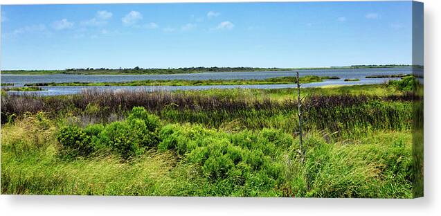 Pea Island National Wildlife Refuge Canvas Print featuring the photograph Pea Island National Wildlife Refuge - Outer Banks by Brendan Reals