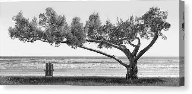 Shade Tree Canvas Print featuring the photograph Shade Tree bw by Mike McGlothlen