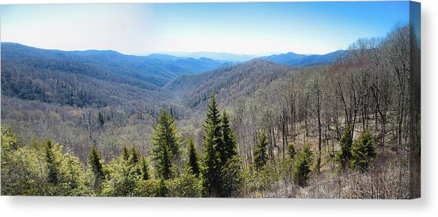 Smokey Mountains Canvas Print featuring the photograph Smokey Mountains Pan by Lindsey Weimer