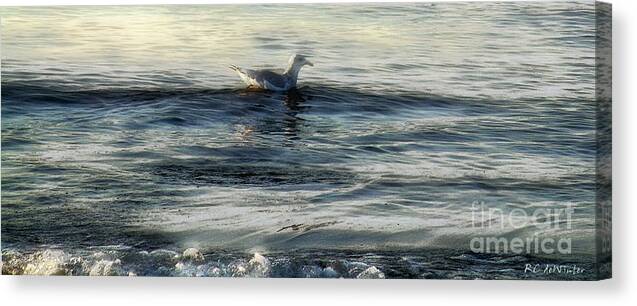 Sea Canvas Print featuring the painting Sunset Swim by RC DeWinter