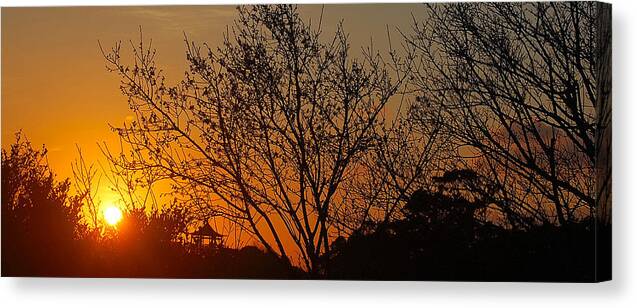Sunset Canvas Print featuring the photograph Sway by HweeYen Ong