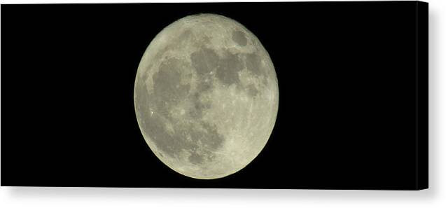 Supermoon Canvas Print featuring the photograph The Super Moon 3 by Robert Knight