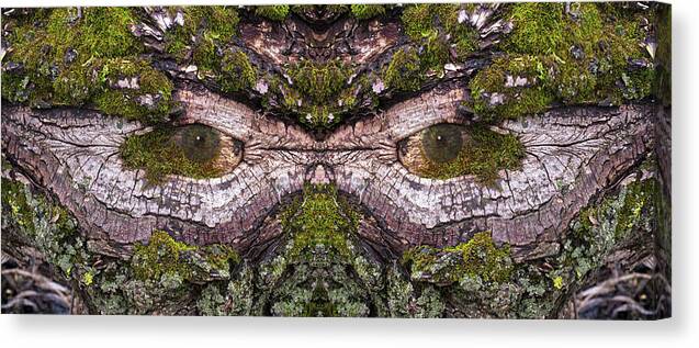 Wood Tree Eye Freaky Mask Scary Ent Organic Life Moss Algae Eyes Eyeball Watching Watcher Abstract Psychodelic Nightmare Frightful Monster Dark Forest “green Man” Canvas Print featuring the photograph - Watcher in the Wood #2 - Human face and eyes hiding in mirrored tree feature - Green Man by Peter Herman