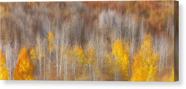 Autumn Canvas Print featuring the photograph Autumn Painting by Mei Xu