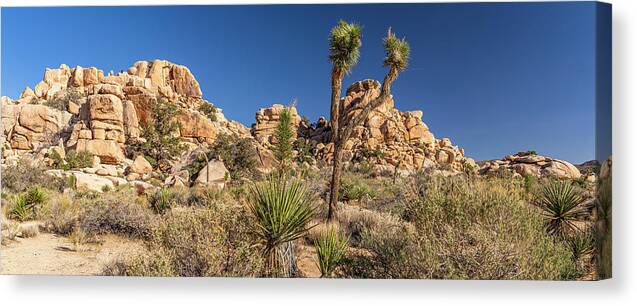 America Canvas Print featuring the photograph Joshua Tree NP - Barker Dam Nature Trail by ProPeak Photography