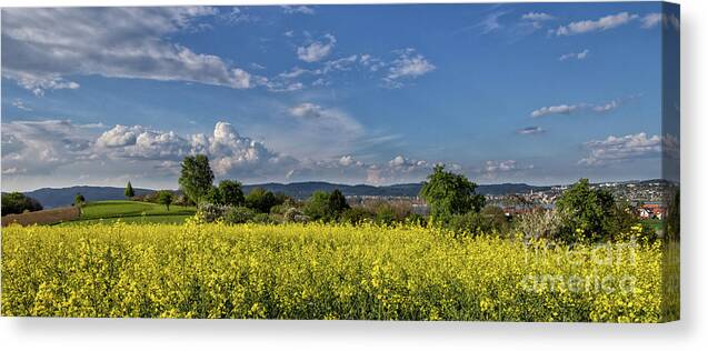 Spring Canvas Print featuring the photograph Summer on Lake Constance by Bernd Laeschke