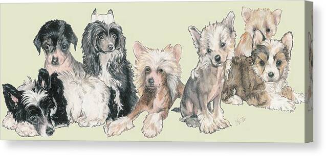Toy Class Canvas Print featuring the mixed media Chinese Crested and Powderpuff Puppies by Barbara Keith