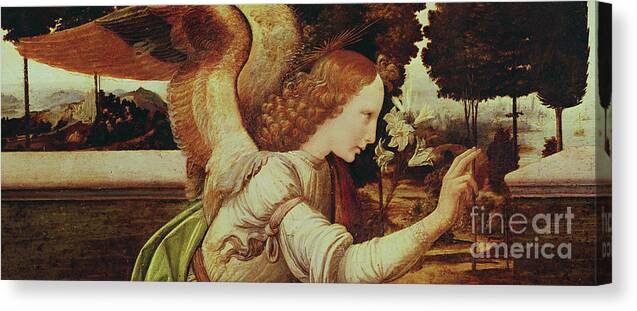 Angel Canvas Print featuring the painting Angel Gabriel, detail from the Annunciation by Leonardo da Vinci