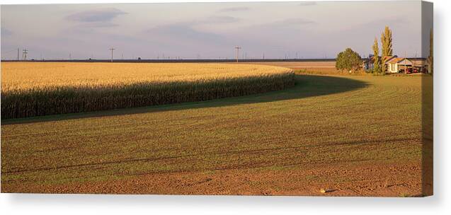 Corn Canvas Print featuring the photograph Corn Circle near Sunset by Steve Templeton