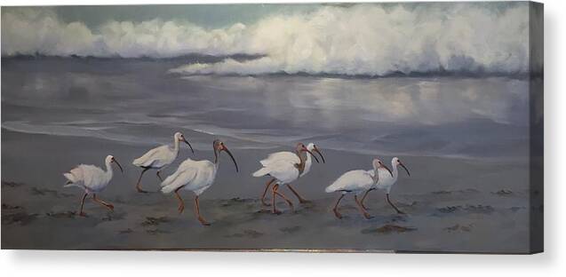 Atlantic Ocean Canvas Print featuring the painting Ibis Stroll by Judy Rixom