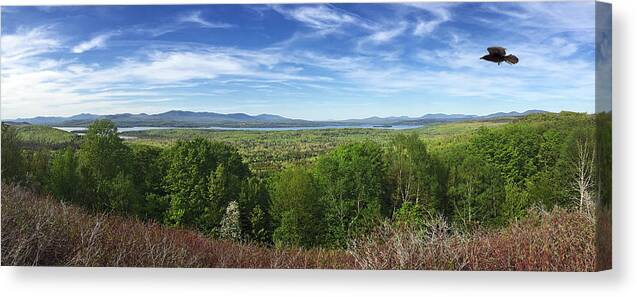 Scenics Canvas Print featuring the photograph Lake Mooselookmeguntic near the Rangeley Lakes are in North eastern Maine, USA during spring. by Cappi Thompson