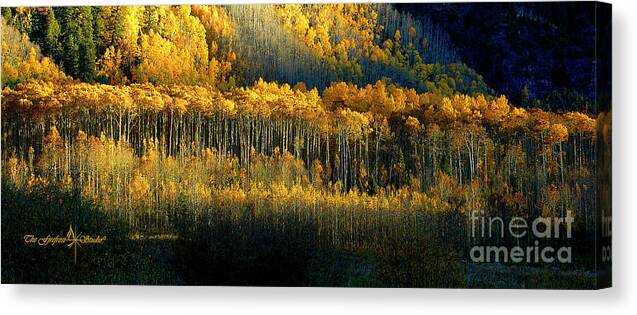 Aspen Canvas Print featuring the photograph Morning Kiss by Jill Westbrook