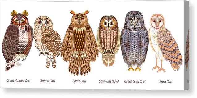 Bird Canvas Print featuring the digital art Six Owl Lineup by Tim Phelps
