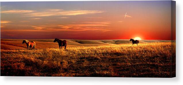 Horse Canvas Print featuring the photograph Day is Done by Rod Seel