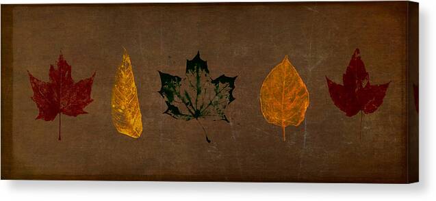 Leaf Canvas Print featuring the digital art Fallen Leaves by Eduardo Tavares