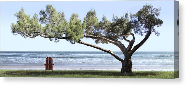 Shade Tree Canvas Print featuring the photograph Shade Tree Panoramic by Mike McGlothlen