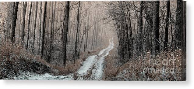 Nature Photography Canvas Print featuring the photograph Abandoned by Gina Signore