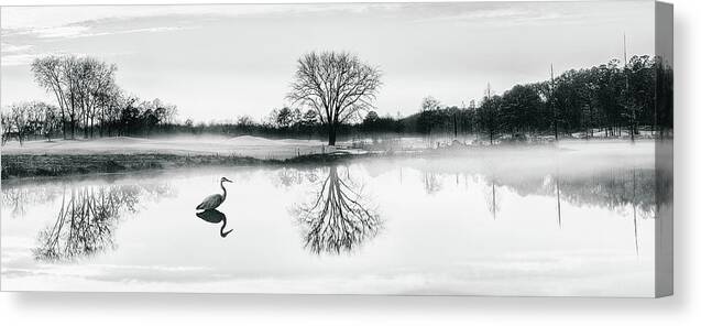 Landscape Canvas Print featuring the photograph Crane's world by Ahmed Shanab