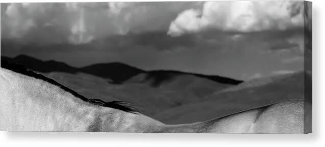 Horse's Back With Mountains In Background Canvas Print featuring the photograph Equuscape by Debra Sabeck