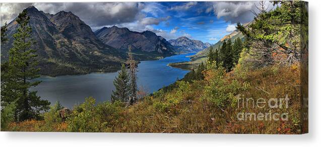 Goat Haunt Panorama Canvas Print featuring the photograph Goat Haunt Pine Tree Panorama by Adam Jewell